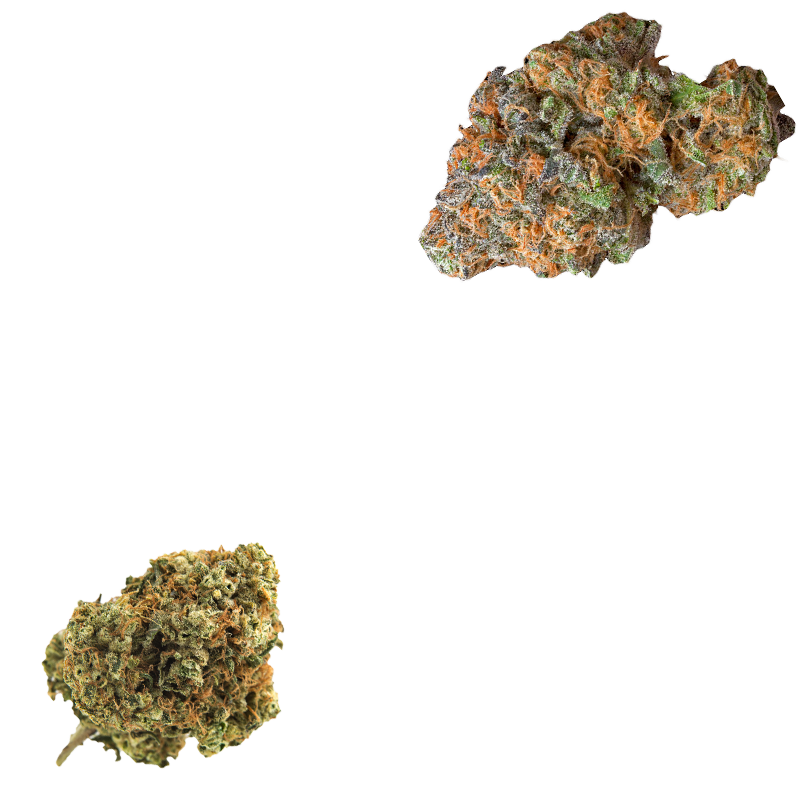 cbd weed